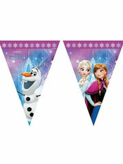 frozen northern lights triangle flag banner